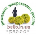 Садовий центр "Белло" bello.in.ua